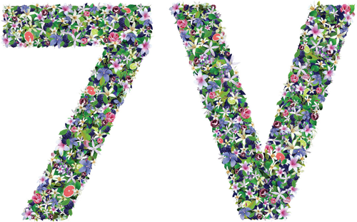 The 7 Virtues Beauty Inc. Logo